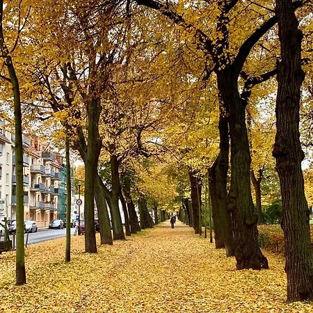 Aparthotel Viadrina Rooms&apartments Frankfurt-oder Am Park Im Zentrum