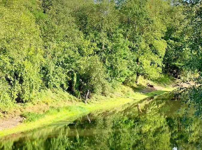 Viadrina & Frankfurt-oder Am Park Im Zentrum Frankfurt an der Oder
